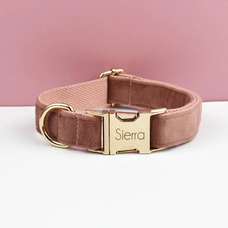 Collier personnalisable pour chien - Velours