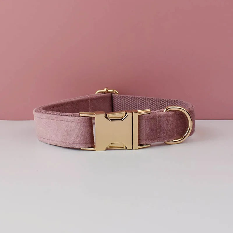 Collier personnalisable pour chien - Velours