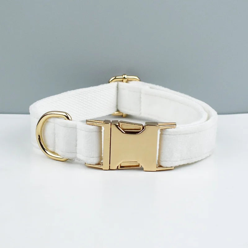 Collier personnalisable pour chien - Velours