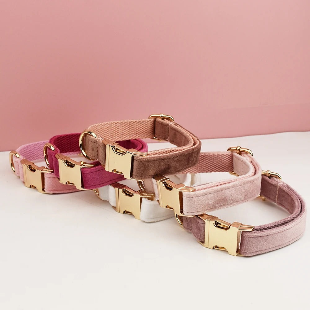Collier personnalisable pour chien - Velours