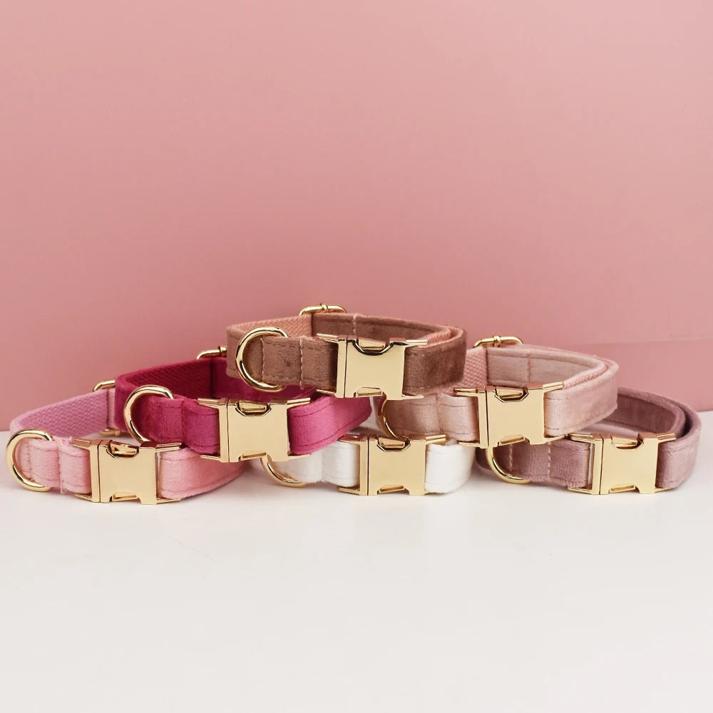 Collier personnalisable pour chien - Velours
