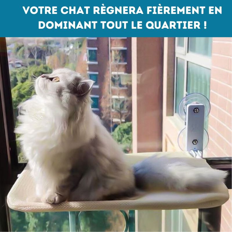 Hamac pour chat - Chamac®