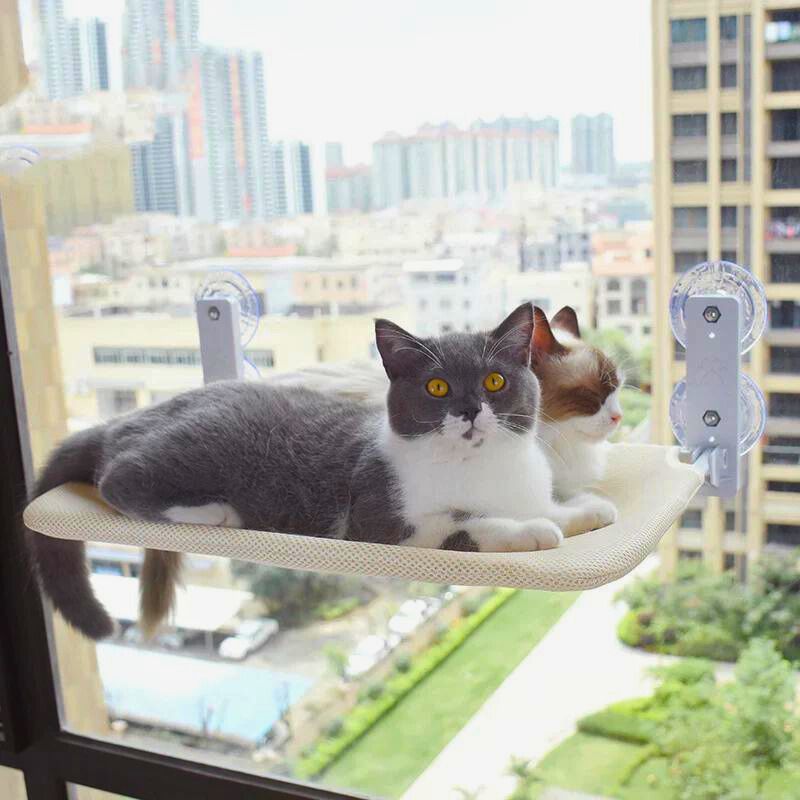 Hamac pour chat - Chamac®