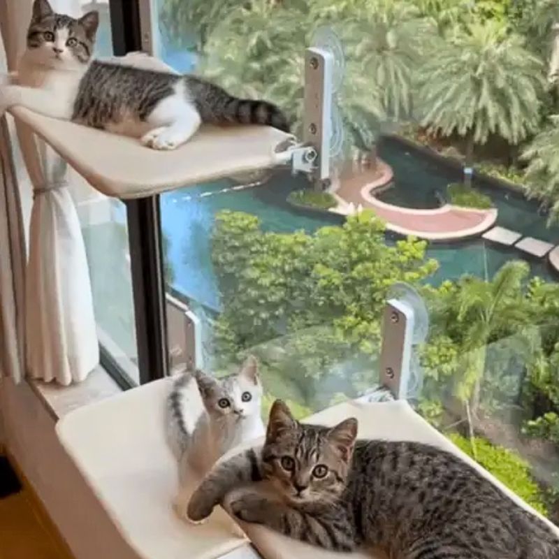 Hamac pour chat - Chamac®