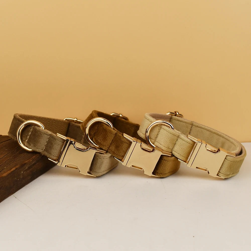 Collier personnalisé pour chien (Gravure offerte)