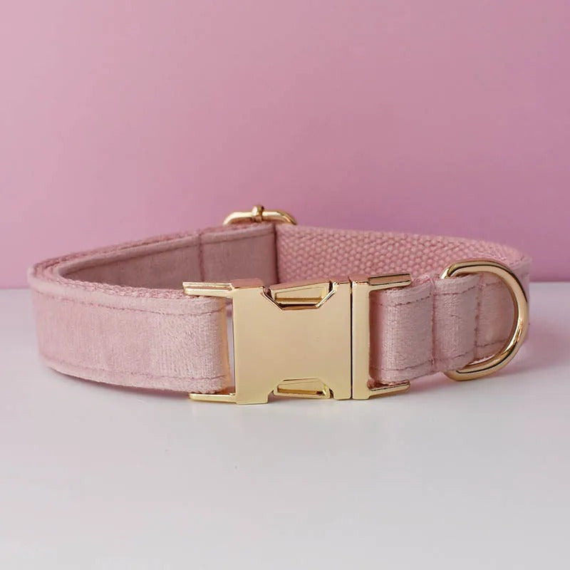 Collier personnalisable pour chien - Velours