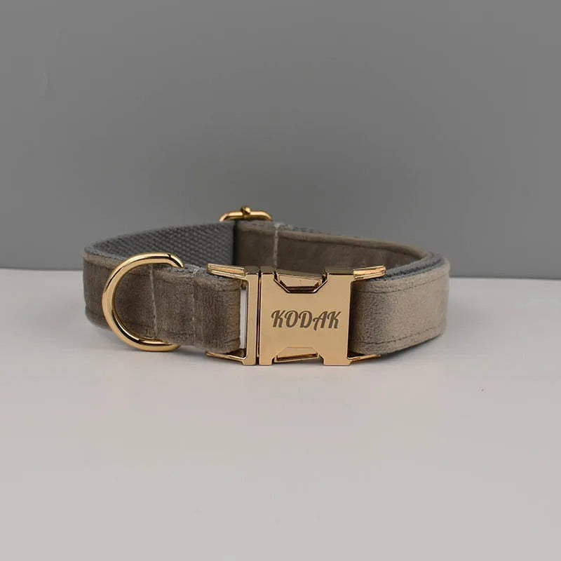 Collier personnalisé pour chien (Gravure offerte)