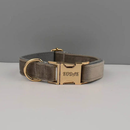 Collier personnalisé pour chien (Gravure offerte)