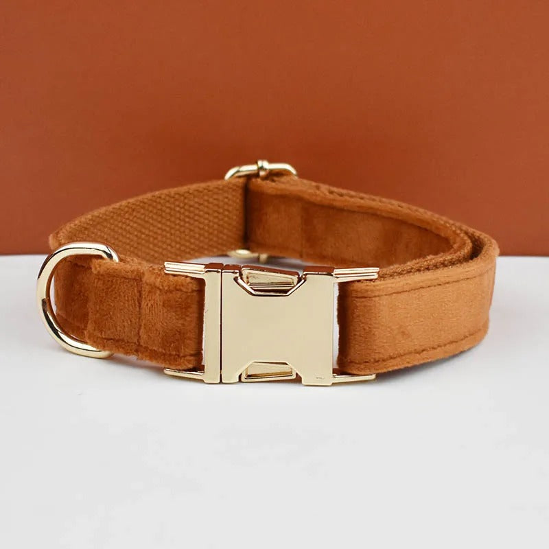 Collier personnalisé pour chien (Gravure offerte)