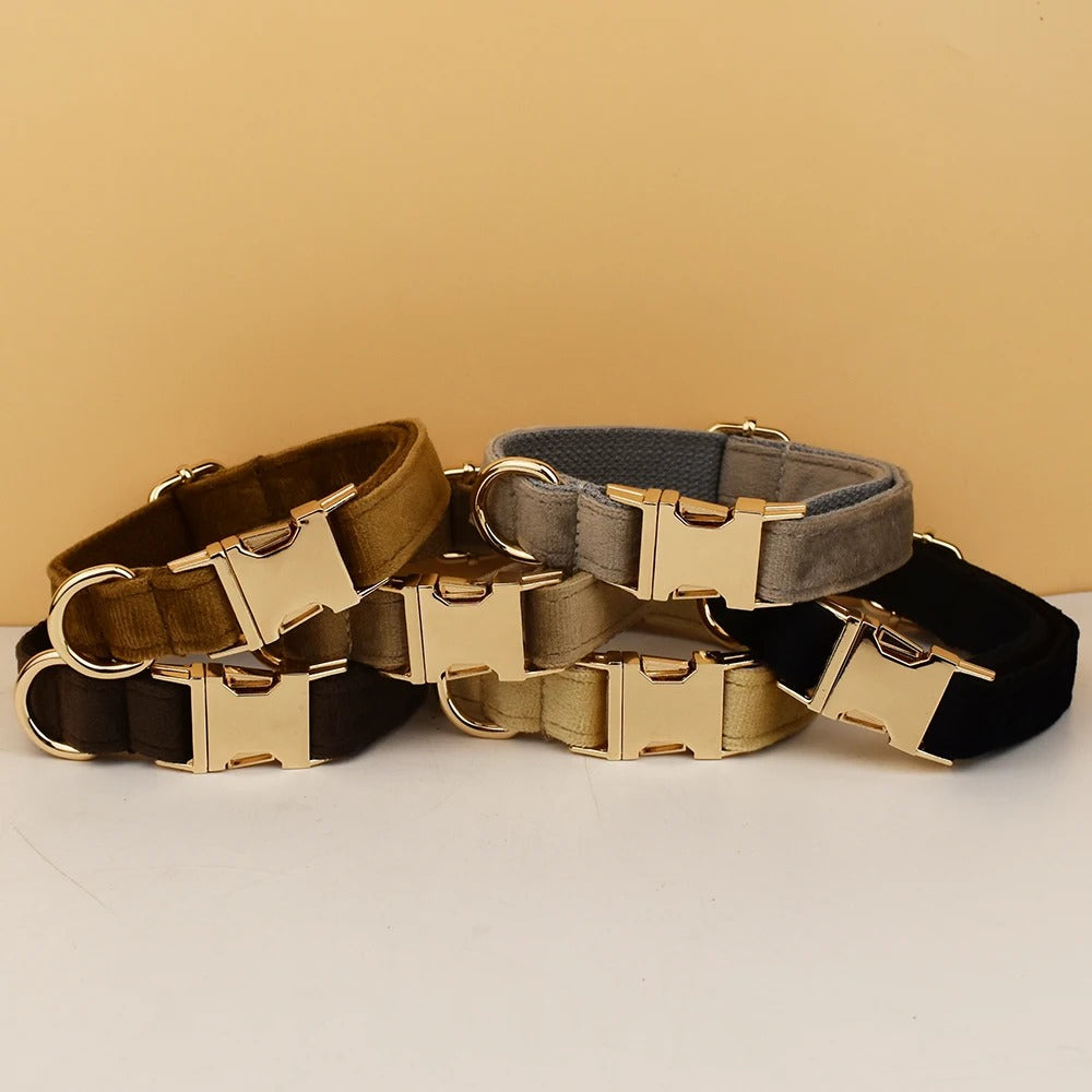 Collier personnalisé pour chien (Gravure offerte)
