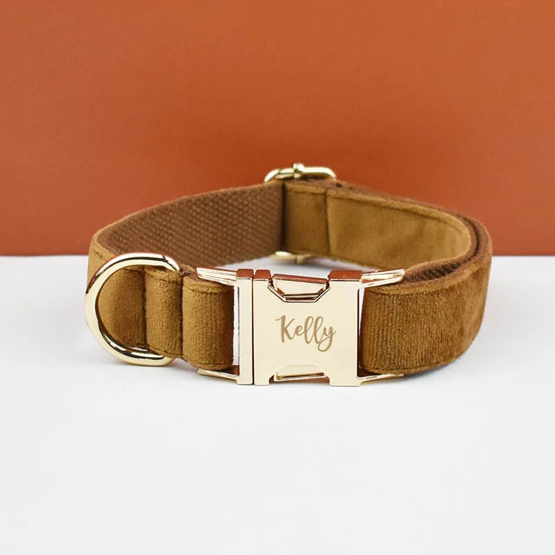 Collier personnalisé pour chien (Gravure offerte)