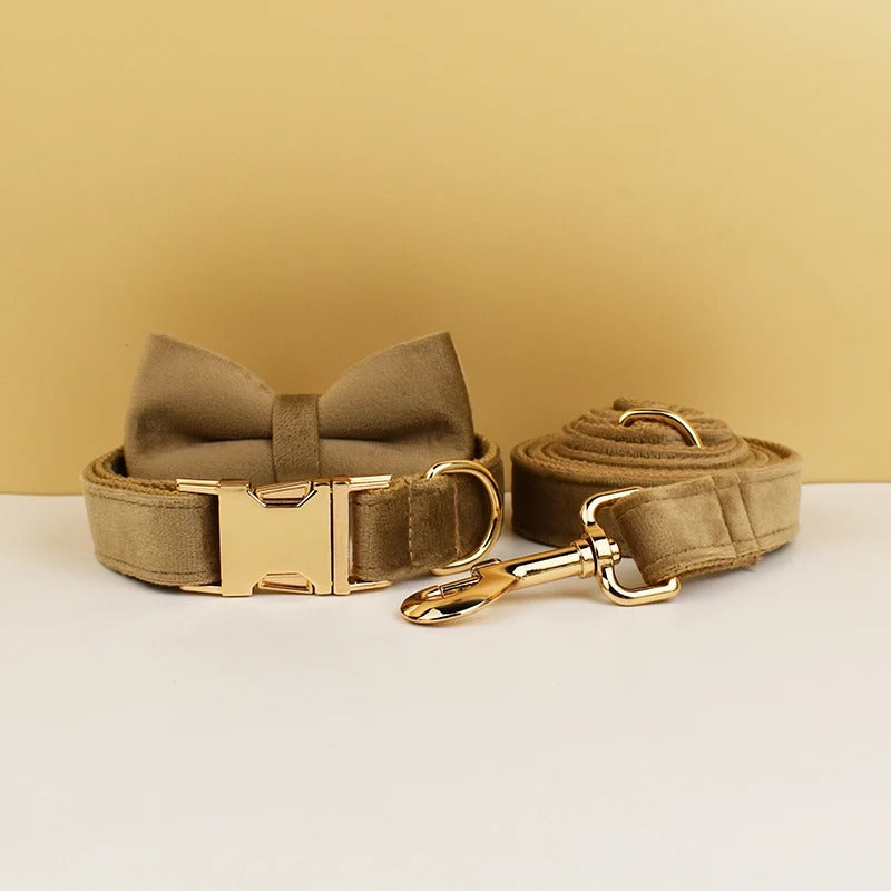 Collier personnalisé pour chien (Gravure offerte)