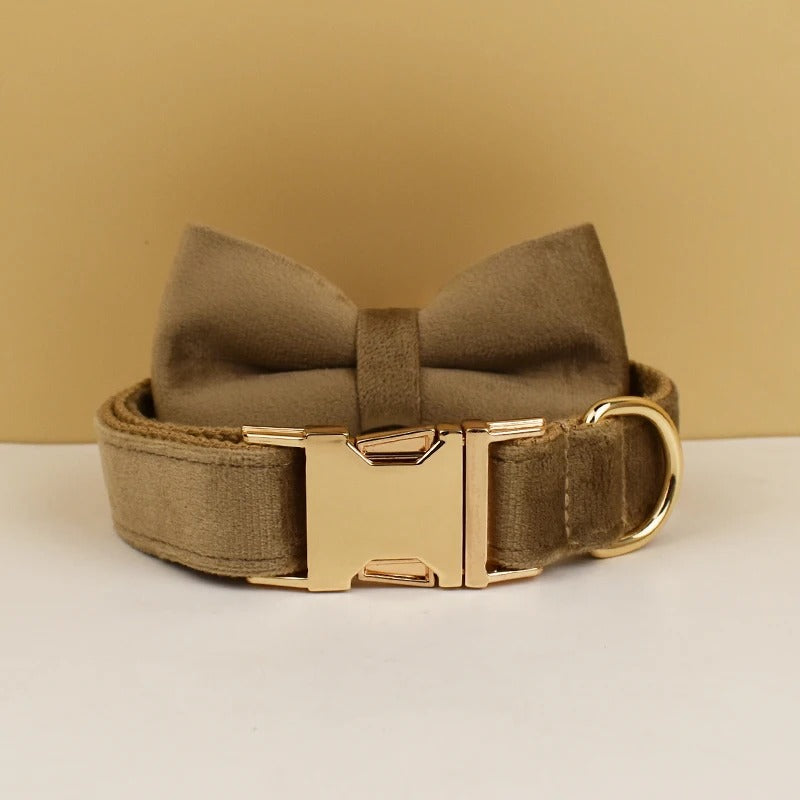Collier personnalisé pour chien (Gravure offerte)
