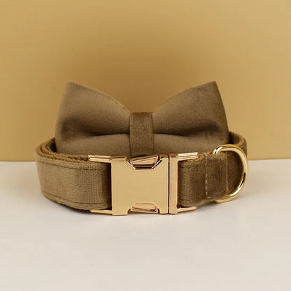 Collier personnalisé pour chien (Gravure offerte)