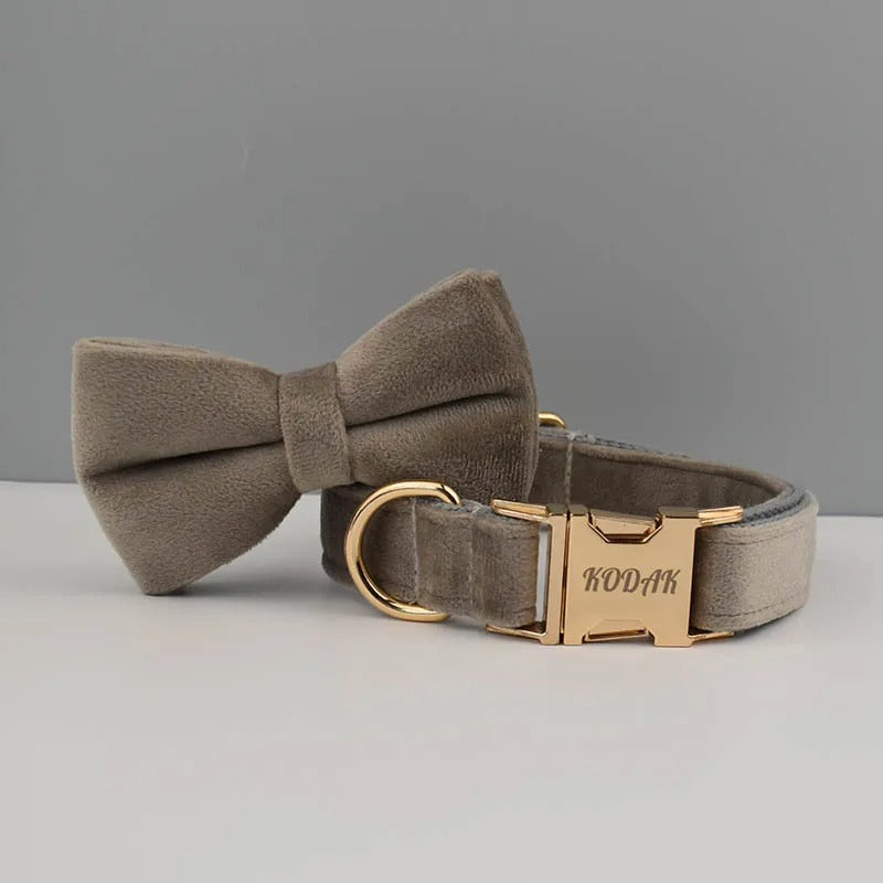 Collier personnalisé pour chien (Gravure offerte)