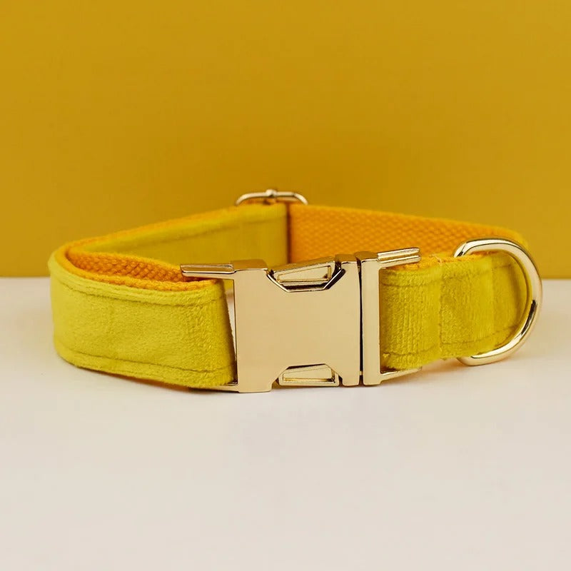 Collier personnalisé pour chien (Gravure offerte)