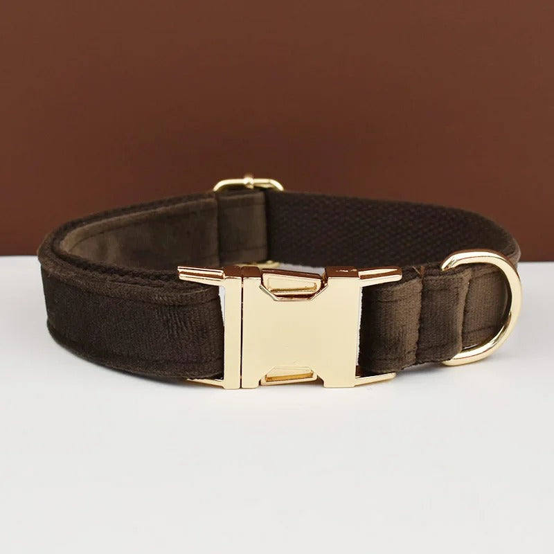 Collier personnalisé pour chien (Gravure offerte)