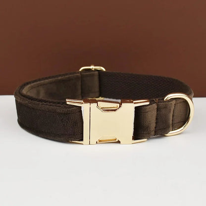 Collier personnalisé pour chien (Gravure offerte)