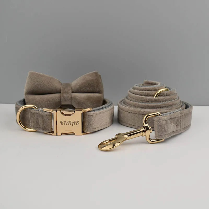Collier personnalisé pour chien (Gravure offerte)