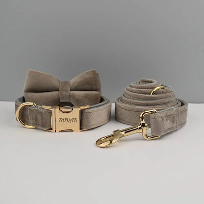 Collier personnalisé pour chien (Gravure offerte)
