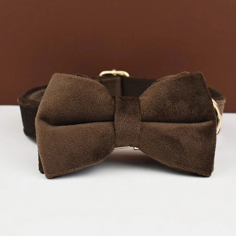 Collier personnalisé pour chien (Gravure offerte)