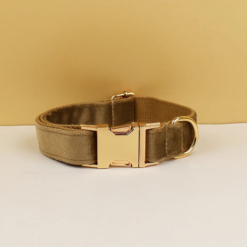 Collier personnalisé pour chien (Gravure offerte)