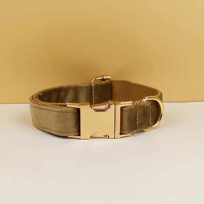 Collier personnalisé pour chien (Gravure offerte)