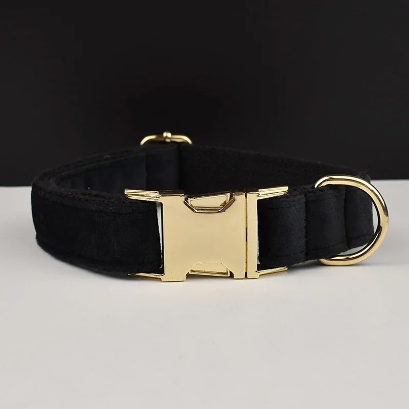 Collier personnalisé pour chien (Gravure offerte)