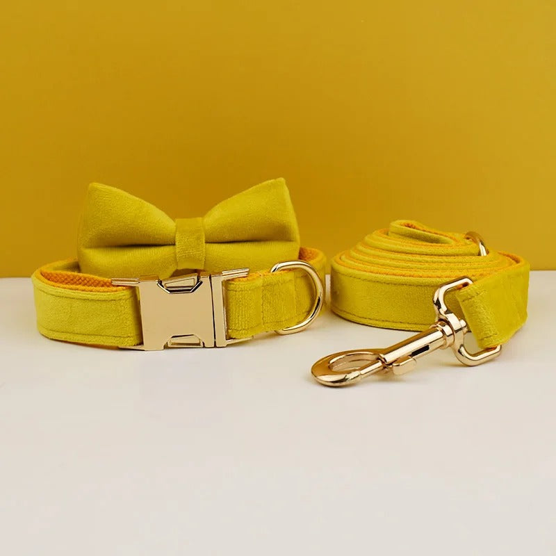 Collier personnalisé pour chien (Gravure offerte)