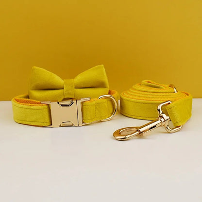 Collier personnalisé pour chien (Gravure offerte)