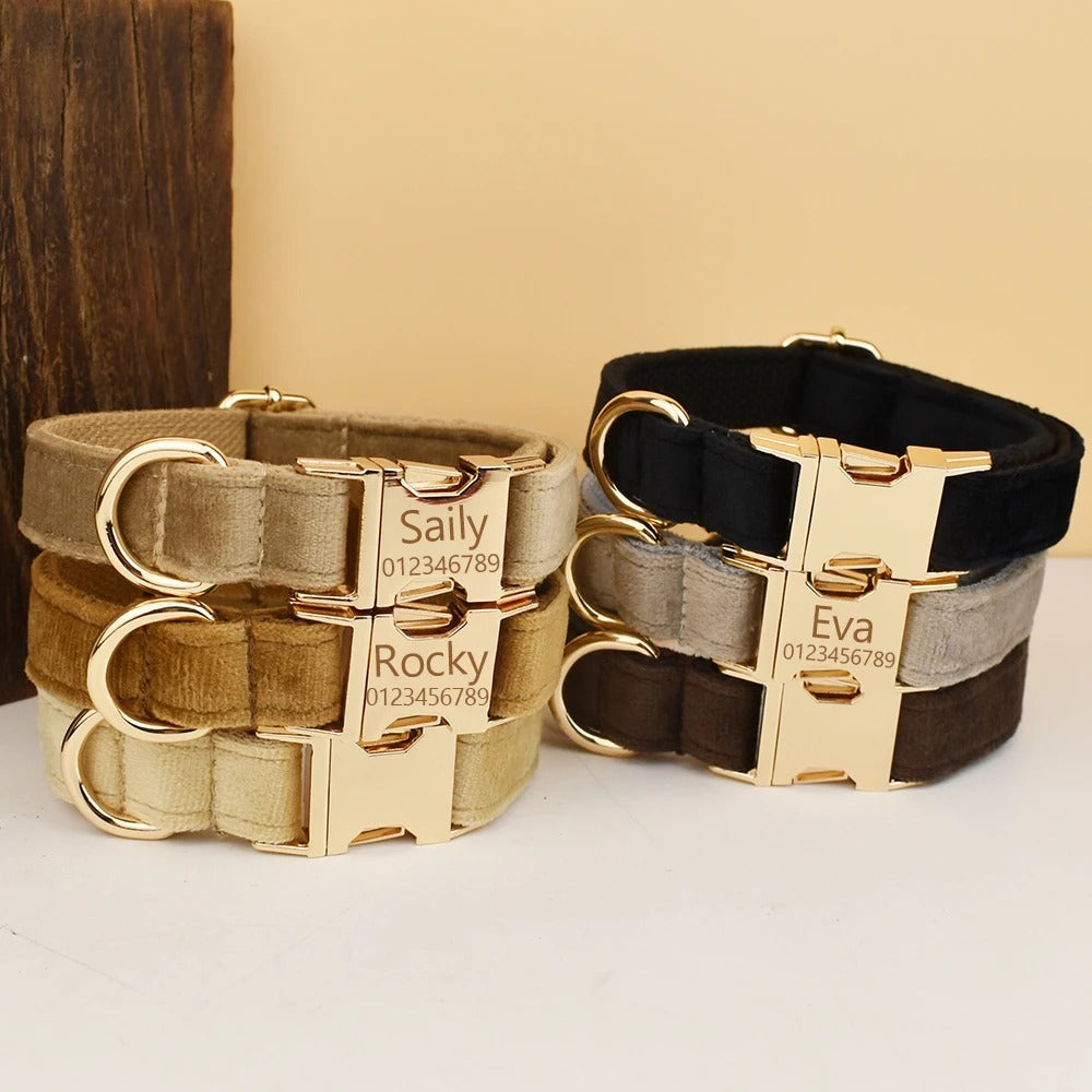 Collier personnalisé pour chien (Gravure offerte)