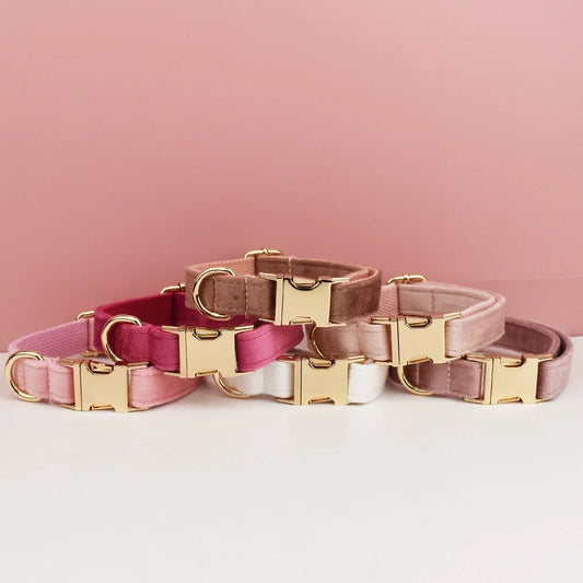 Collier personnalisable pour chien - Velours