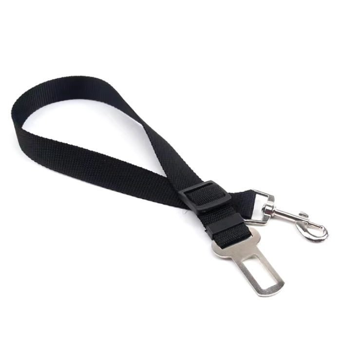 Ceinture réglable pour chat - Carcat®