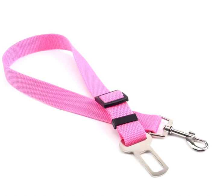 Ceinture réglable pour chat - Carcat®