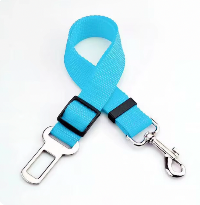 Ceinture réglable pour chat - Carcat®