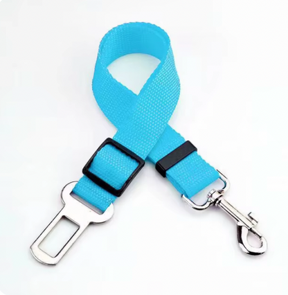 Ceinture réglable pour chat - Carcat®