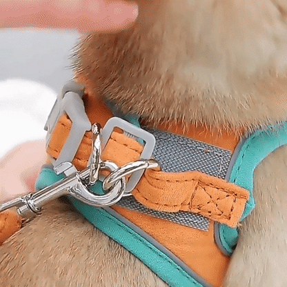 Harnais pour chat (laisse offerte) - Harnouche®