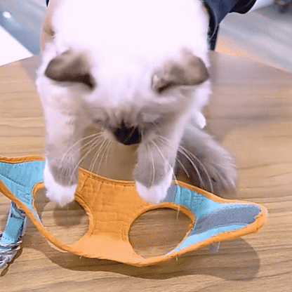 Harnais pour chat (laisse offerte) - Harnouche®