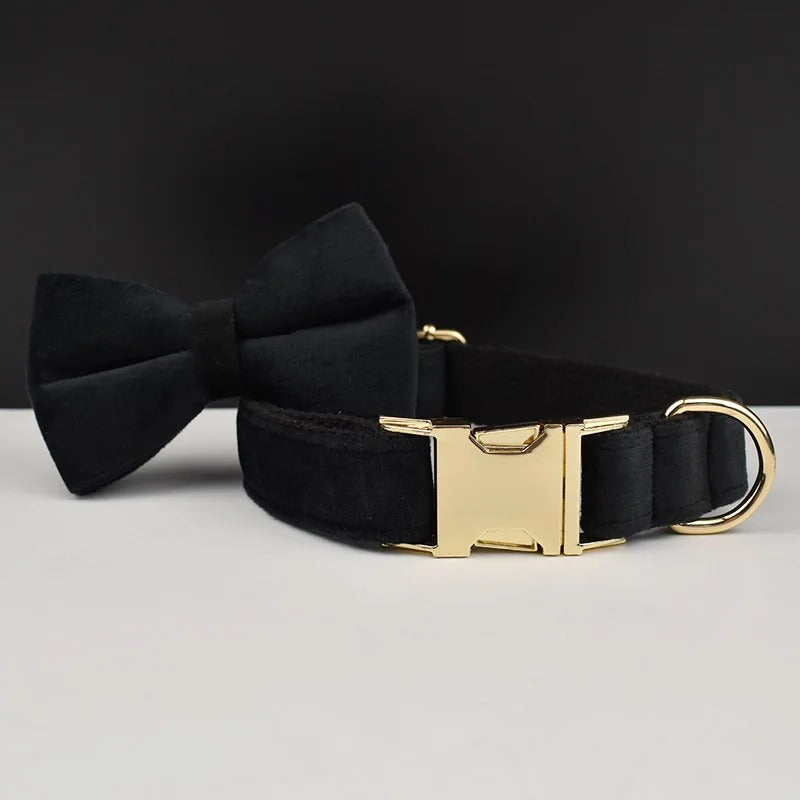 Collier personnalisé pour chien (Gravure offerte)