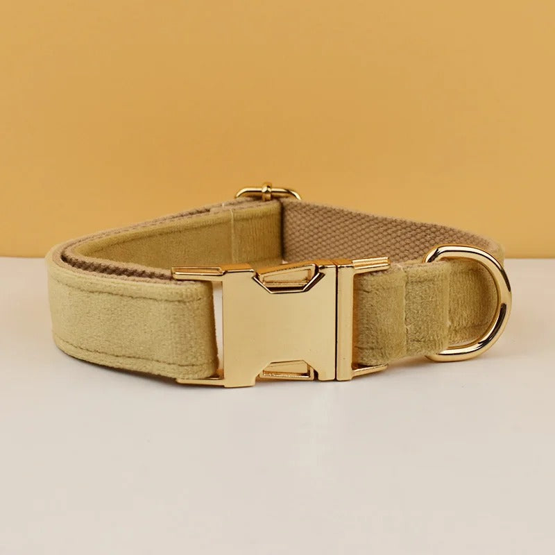 Collier personnalisé pour chien (Gravure offerte)