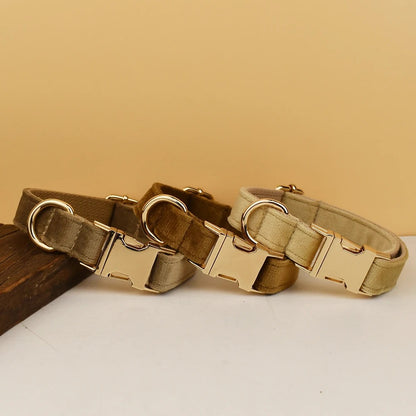 Collier personnalisé pour chien (Gravure offerte)