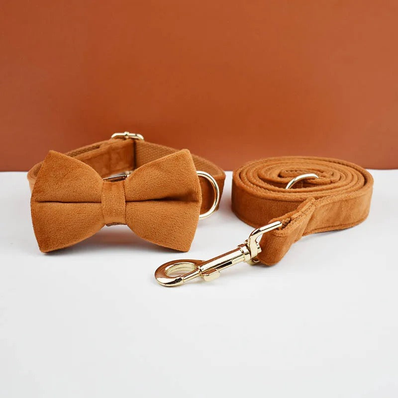Collier personnalisé pour chien (Gravure offerte)