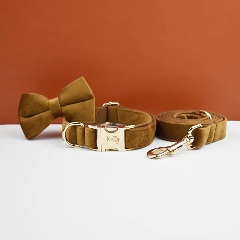 Collier personnalisé pour chien (Gravure offerte)