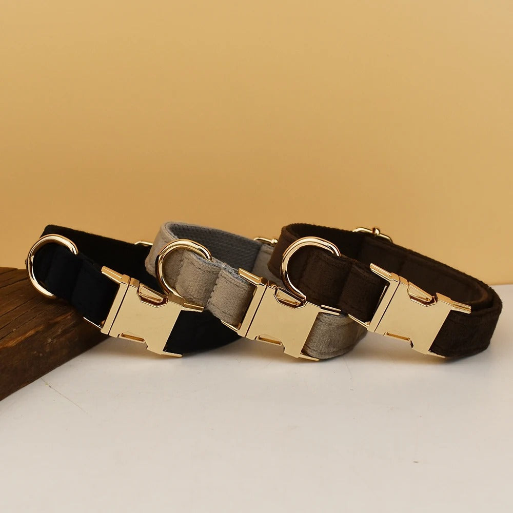 Collier personnalisé pour chien (Gravure offerte)