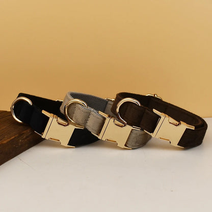 Collier personnalisé pour chien (Gravure offerte)