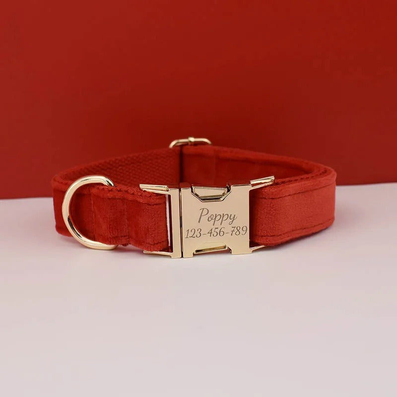 Collier personnalisé pour chien (Gravure offerte)