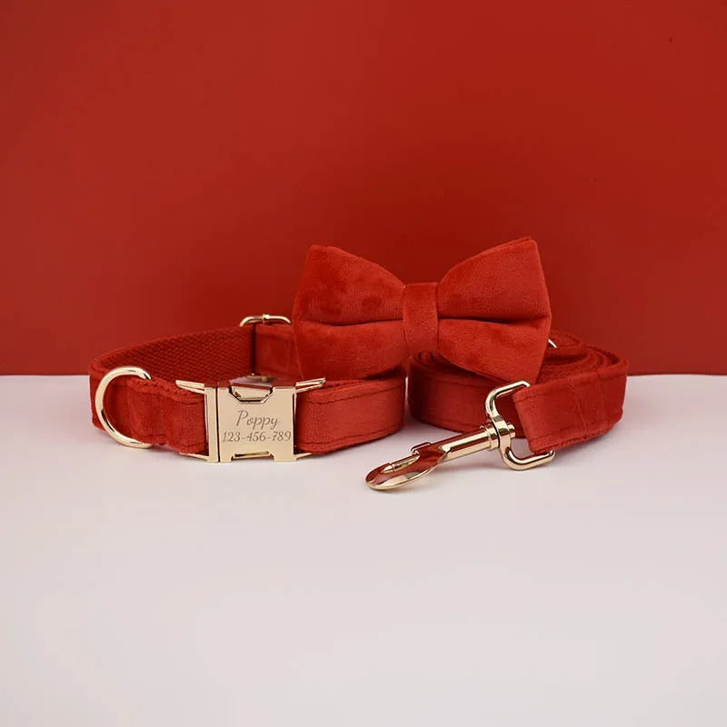 Collier personnalisé pour chien (Gravure offerte)