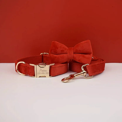 Collier personnalisé pour chien (Gravure offerte)