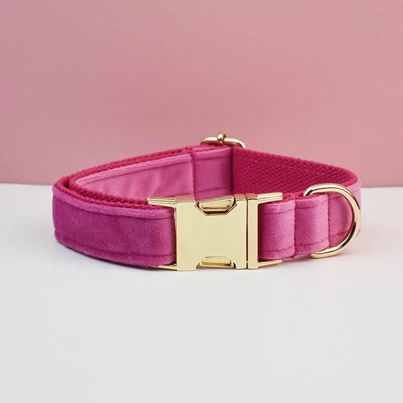 Collier personnalisable pour chien - Velours