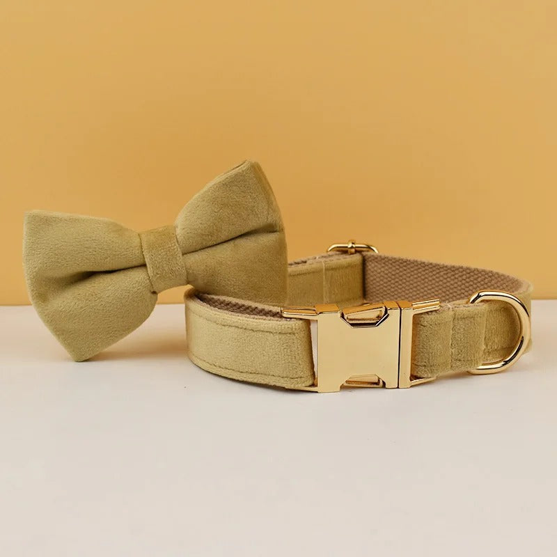 Collier personnalisé pour chien (Gravure offerte)